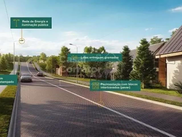 Terreno venda em Região Geográfica Imediata de Brusque, Brusque