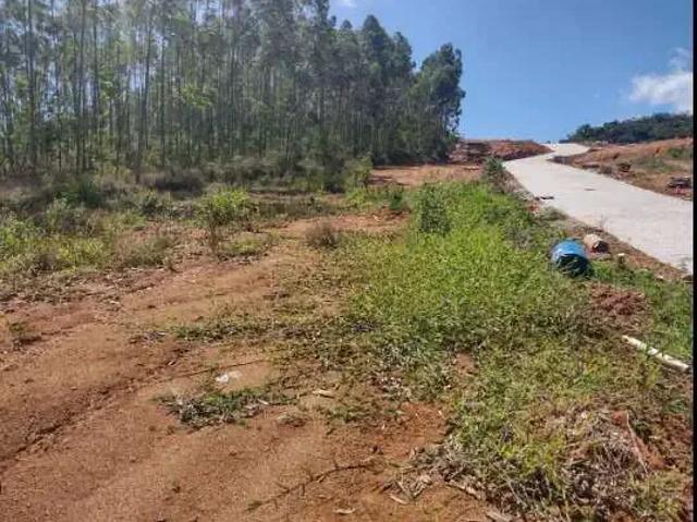 Terreno venda em Região Geográfica Imediata de Brusque, Brusque