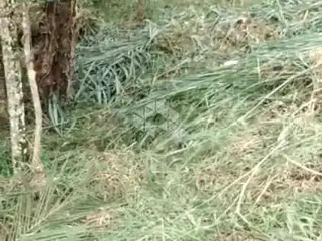 Terreno venda em Região Geográfica Imediata de Brusque, Brusque