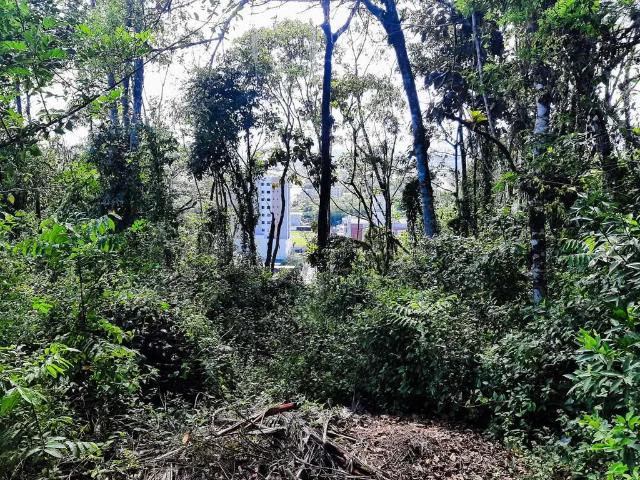 Terreno venda em Região Geográfica Imediata de Brusque, Brusque