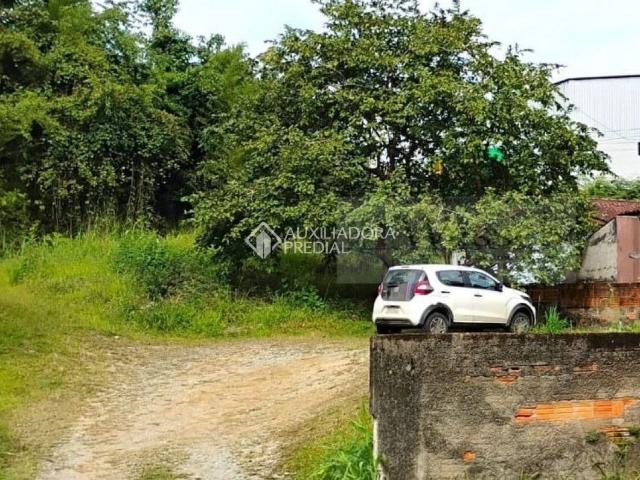 Terreno venda em Região Geográfica Imediata de Brusque, Brusque