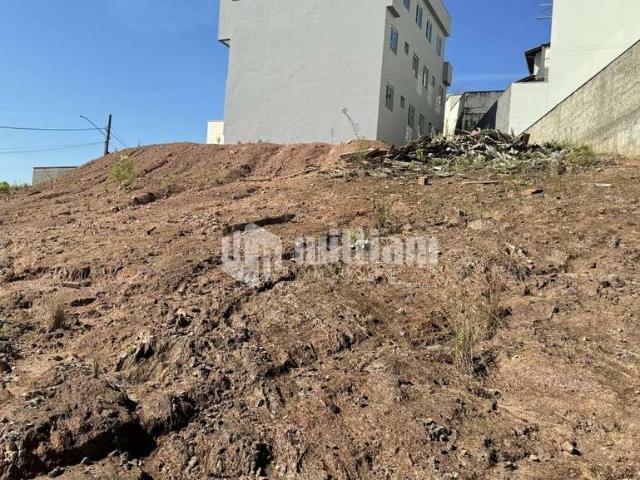 Terreno venda em Região Geográfica Imediata de Brusque, Brusque