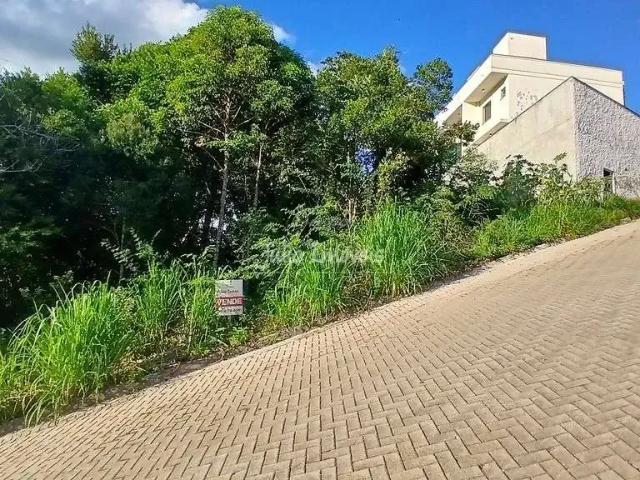 Terreno venda em Região Geográfica Imediata de Brusque, Brusque