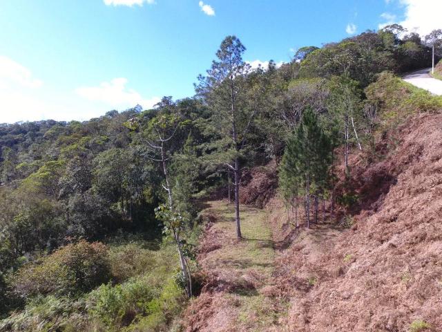 Terreno venda em 1º de Maio, Brusque