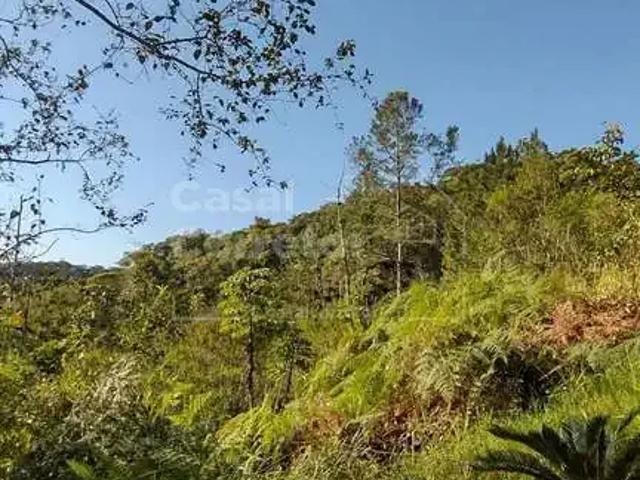 Terreno venda em Região Geográfica Imediata de Brusque, Brusque