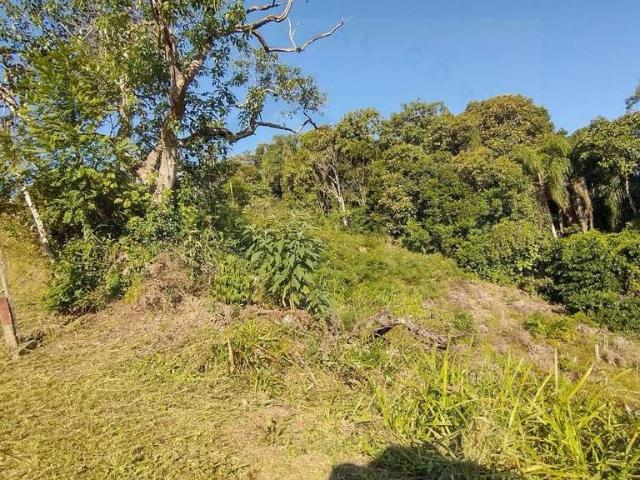 Terreno venda em Região Geográfica Imediata de Brusque, Brusque