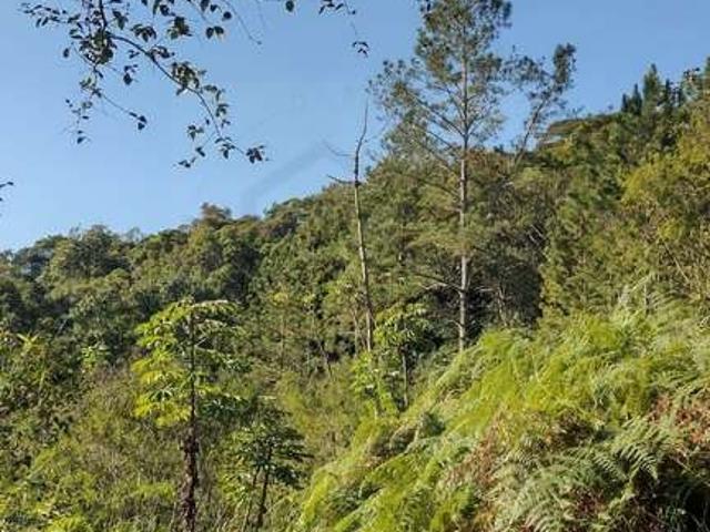Terreno venda em Região Geográfica Imediata de Brusque, Brusque