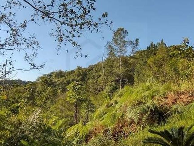 Terreno venda em Região Geográfica Imediata de Brusque, Brusque