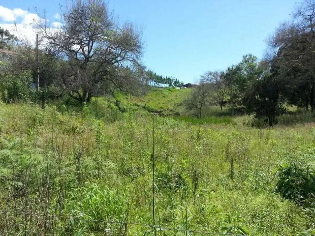 Terreno venda em Região Geográfica Imediata de Criciúma, Içara