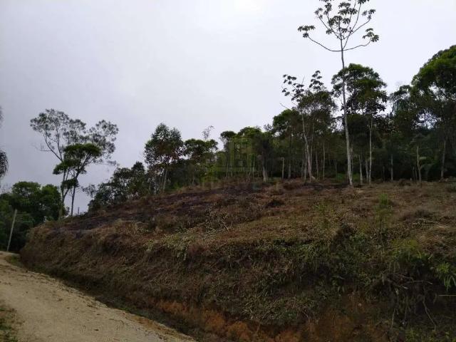 Terreno venda em Região Geográfica Imediata de Brusque, Brusque