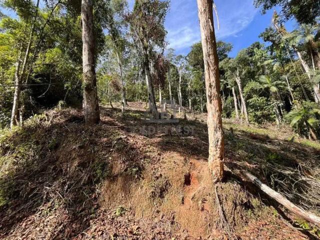 Terreno venda em Região Geográfica Imediata de Brusque, Brusque