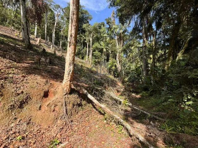 Terreno venda em Região Geográfica Imediata de Brusque, Brusque