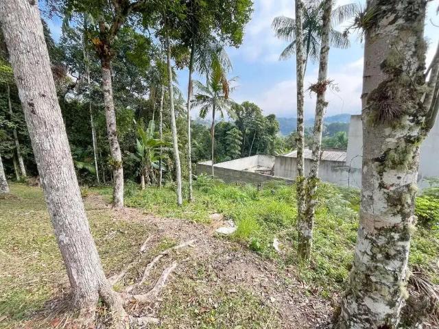 Terreno venda em Região Geográfica Imediata de Brusque, Brusque