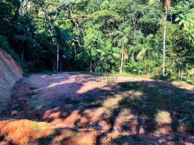 Terreno venda em Região Geográfica Imediata de Brusque, Brusque