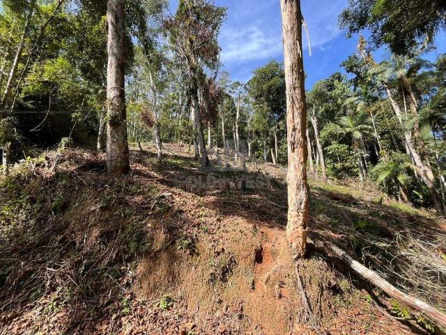 Terreno venda em São Pedro, Brusque