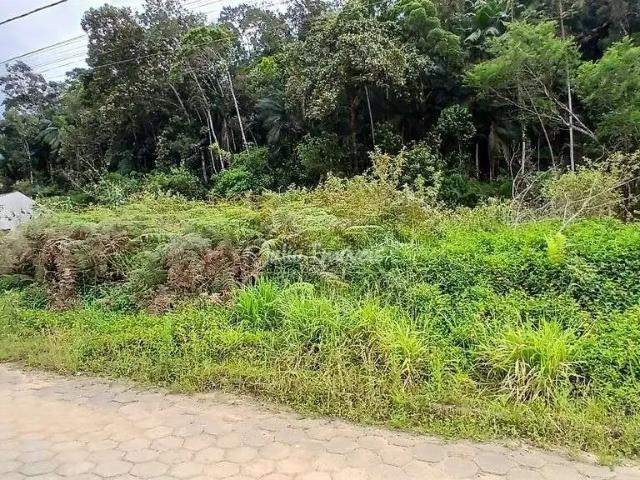 Terreno venda em Região Geográfica Imediata de Brusque, Brusque