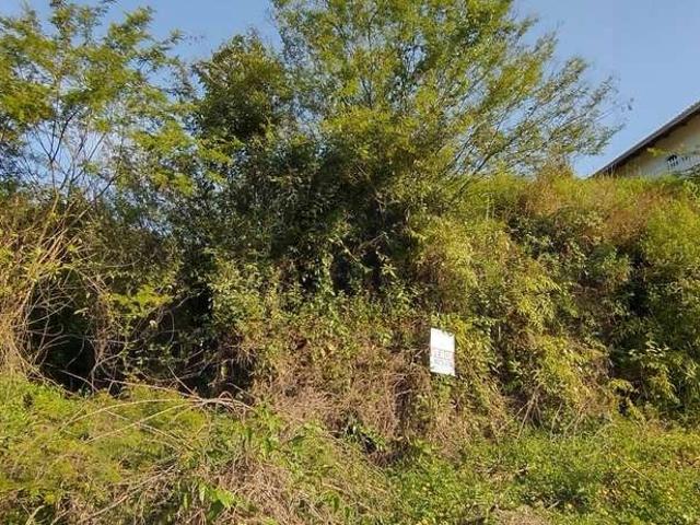 Terreno venda em Brusque, São Leopoldo