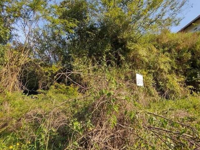 Terreno venda em Região Geográfica Imediata de Brusque, Brusque