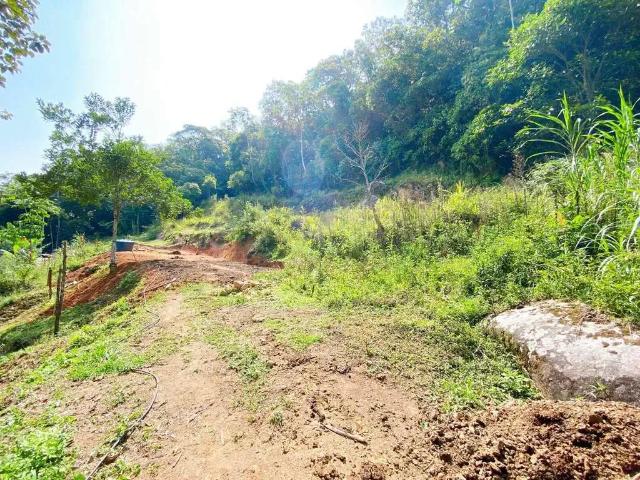Terreno venda em Região Geográfica Imediata de Brusque, Brusque
