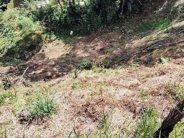 Terreno venda em Região Geográfica Imediata de Brusque, Brusque