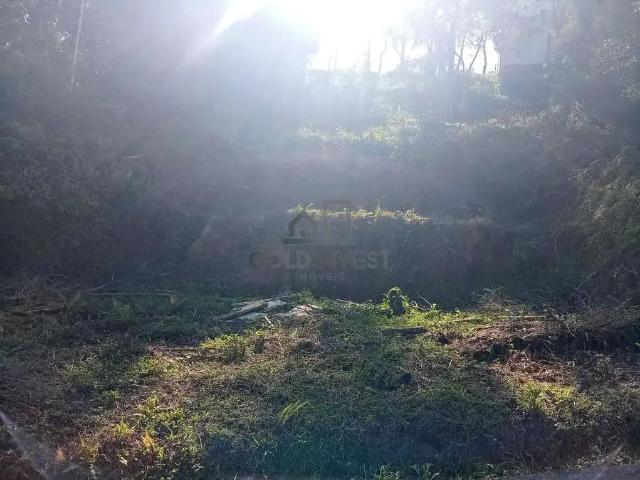 Terreno venda em Região Geográfica Imediata de Brusque, Brusque