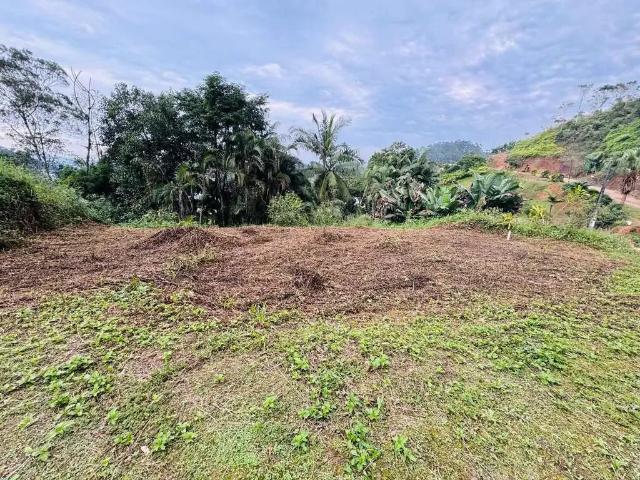 Terreno venda em Região Geográfica Imediata de Brusque, Brusque