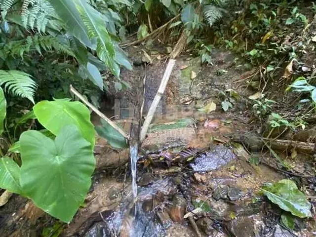 Terreno venda em Região Geográfica Imediata de Brusque, Brusque