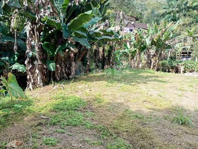 Terreno venda em Região Geográfica Imediata de Brusque, Brusque