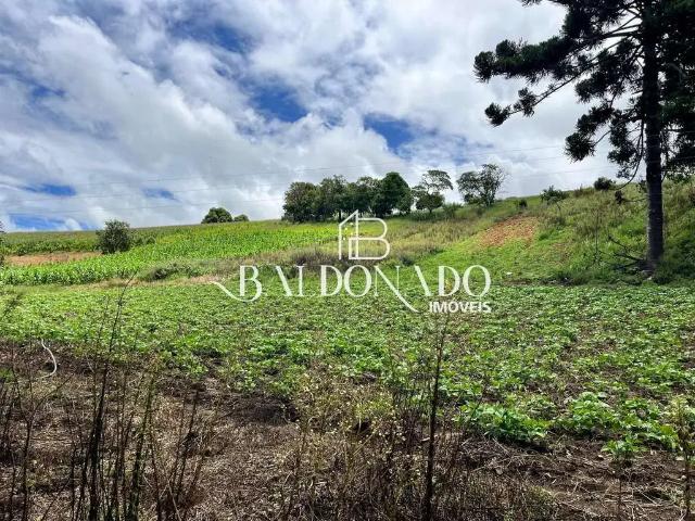 Terreno venda em Região Geográfica Imediata de Pouso Alegre, Bueno Brandão