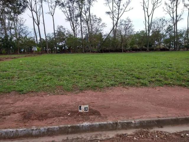 Terreno venda em Região Imediata de Birigui-Penápolis, Buritama