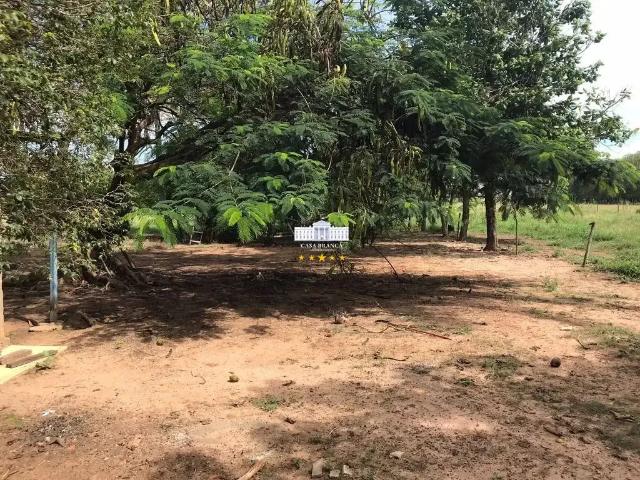 Terreno venda em Região Imediata de Birigui-Penápolis, Buritama