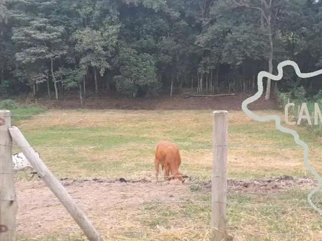Terreno venda em Região Imediata de São José dos Campos, Região Metropolitana do Vale do Paraíba e Litoral Norte