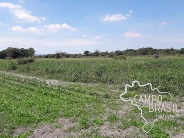 Terreno venda em São Francisco de Sales, Minas Gerais