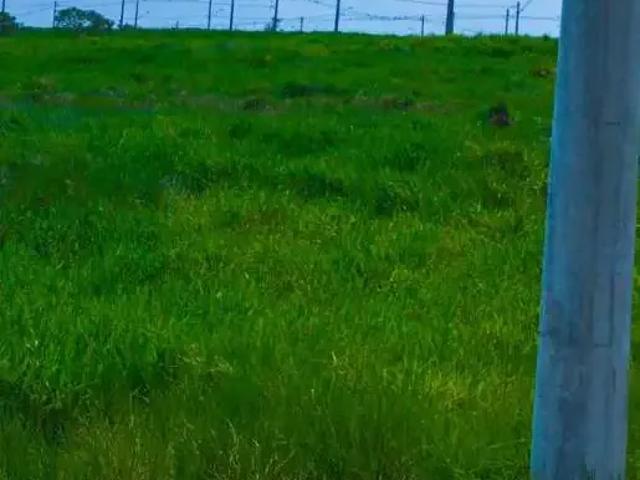 Terreno venda em Caçapava