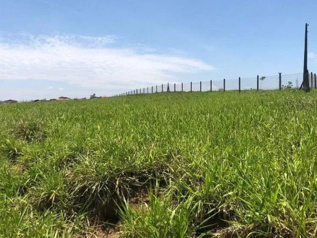 Terreno venda em Região Imediata de São José dos Campos, Região Metropolitana do Vale do Paraíba e Litoral Norte