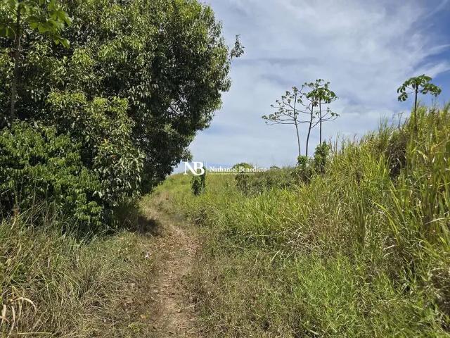 Terreno venda em Região Geográfica Imediata do Recife, Região Metropolitana do Recife