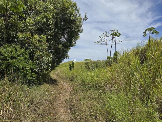 Terreno venda em Ipojuca