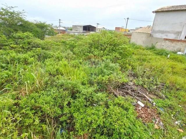 Terreno venda em Região Geográfica Imediata de Cabo Frio, Cabo Frio