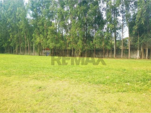 Terreno venda em Molina, Cabreúva
