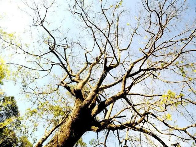 Terreno venda em Região Imediata de Jundiaí, Cabreuva