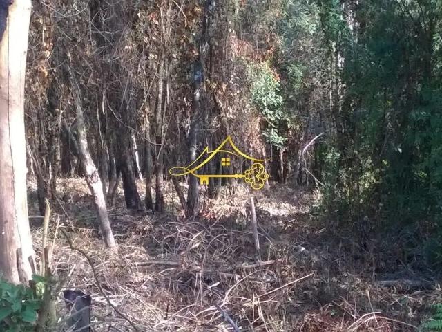 Terreno venda em Região Imediata de Jundiaí, Cabreuva