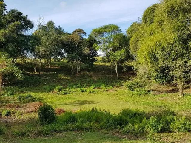 Terreno venda em Região Geográfica Imediata de Rio Bonito, Região Metropolitana do Rio de Janeiro