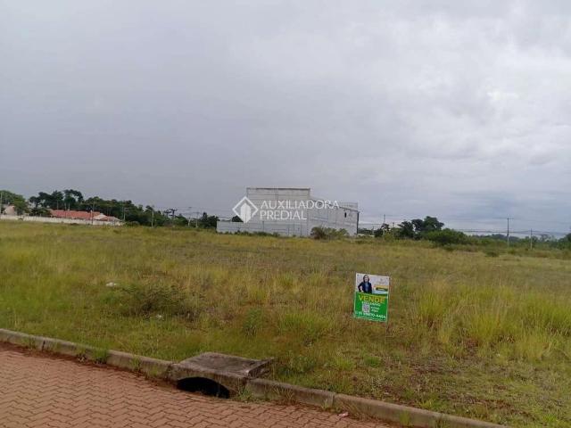 Terreno venda em Cachoeirinha