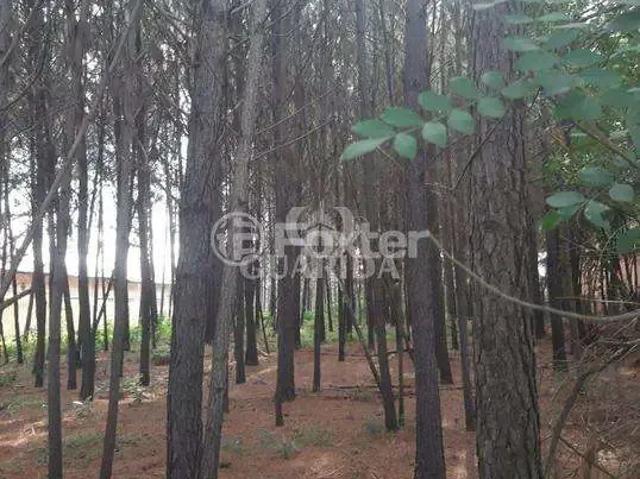 Terreno venda em Região Geográfica Imediata de Porto Alegre, Região Metropolitana de Porto Alegre