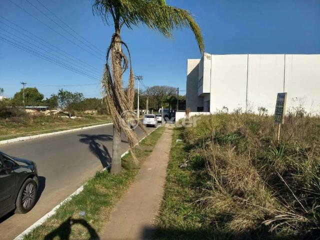 Terreno venda em Cachoeirinha