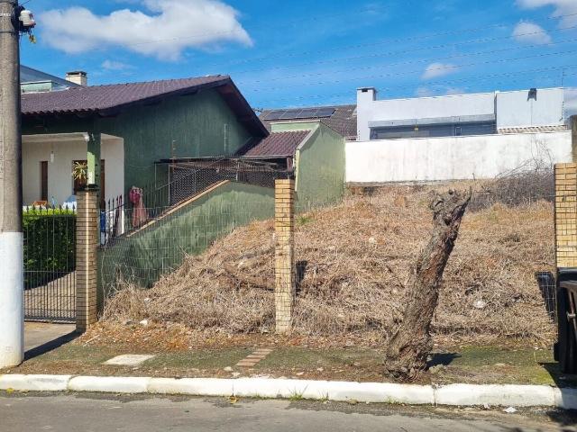 Terreno venda em Cachoeirinha