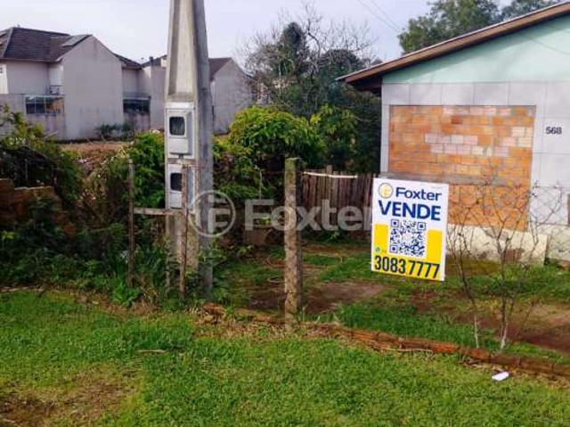 Terreno venda em Cachoeirinha