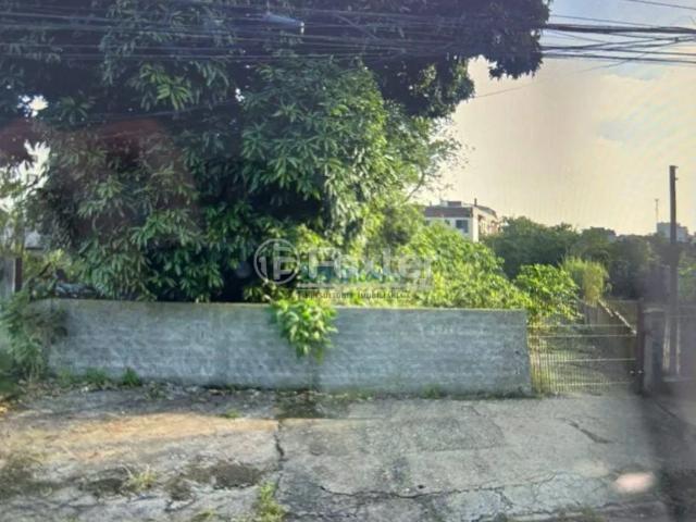 Terreno venda em Cachoeirinha