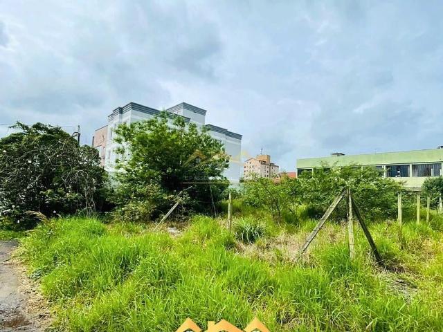 Terreno venda em Cachoeirinha