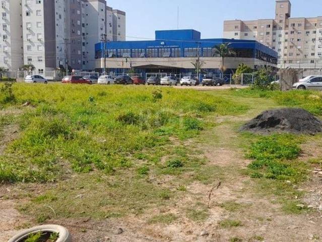 Terreno venda em Região Geográfica Imediata de Goiás - Itapuranga, Nova Crixás